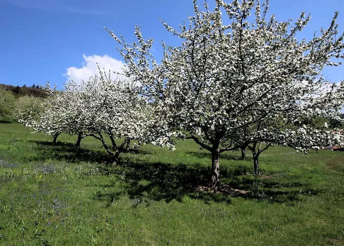 Wilderer Stube - Helga Sasbachwalden